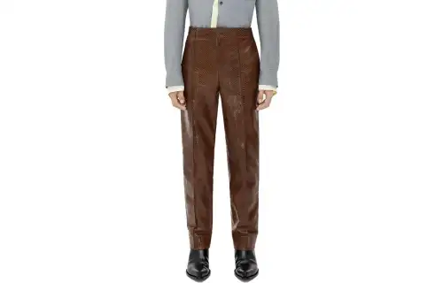 Bottega Veneta Casual Pants Men's Brown Moderate Straight Fit Pants