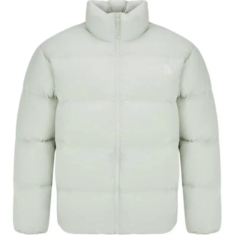 THE NORTH FACE Down Jackets & Coats Men's Ice Green