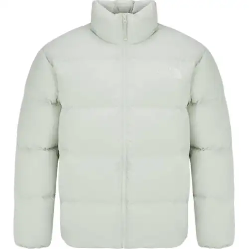 THE NORTH FACE Down Jackets & Coats Men's Ice Green