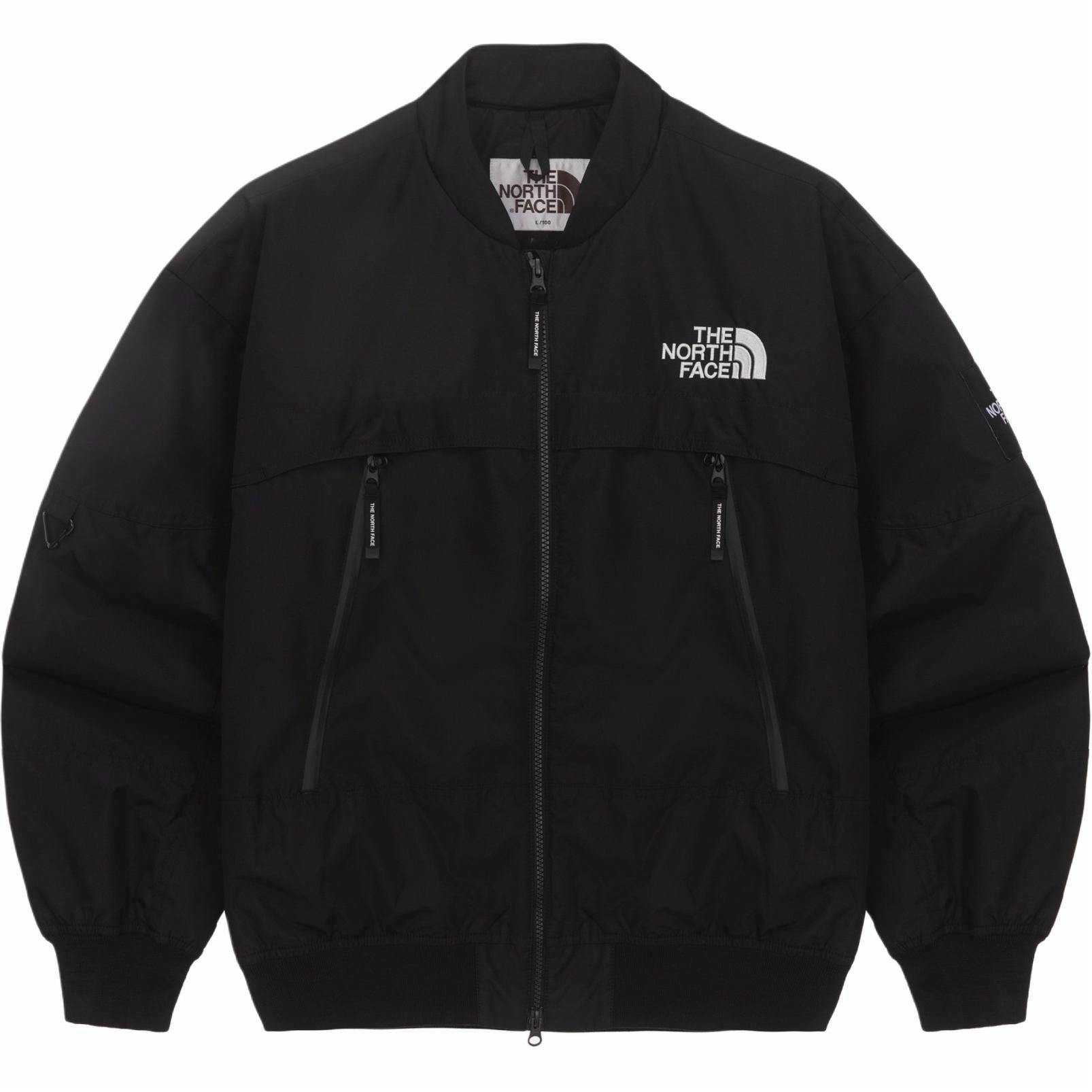 Куртка The North Face SS24 ECO (черная)