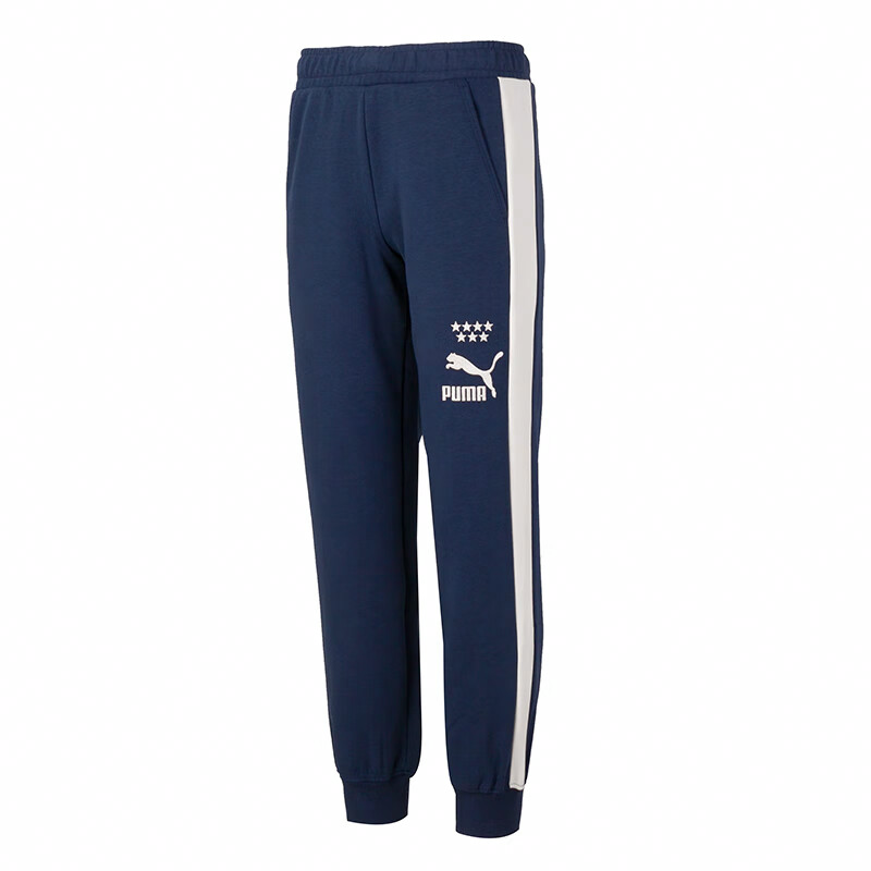 Мужские штаны PUMA Колорблок (синие)