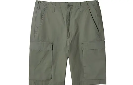 Carhartt WIP Casual Shorts Men's Moderate