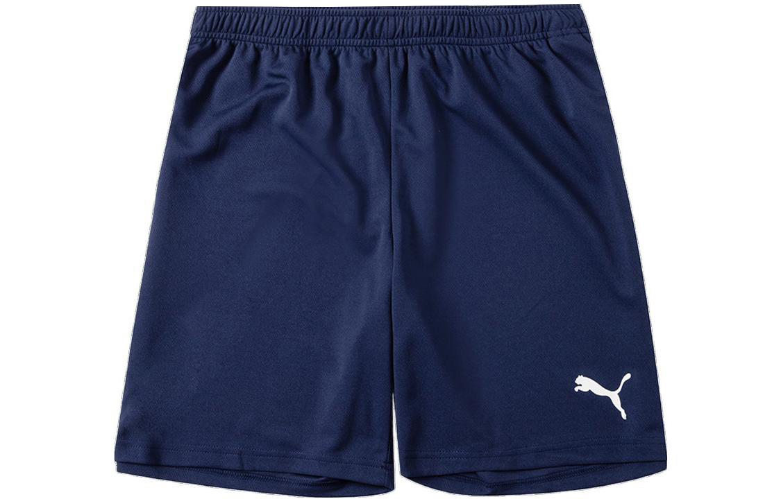 PUMA Casual Shorts Men's Blue Moderate