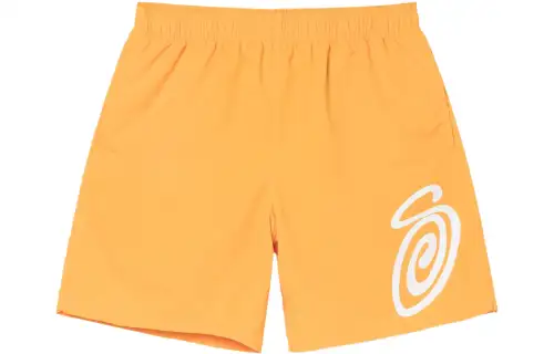 Stussy Curly S Water Short