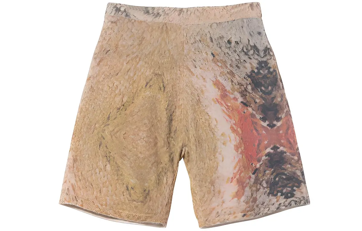 Stussy Wings Print Knit Short