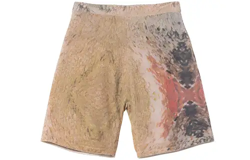 Stussy Wings Print Knit Short