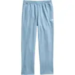 THE NORTH FACE Casual Pants Men's Steel Blue