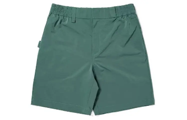 Dickies Cargo Shorts Men's Sage Green