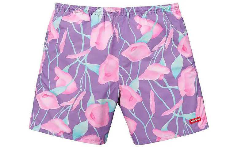 Supreme SS18 Casual Shorts Unisex
