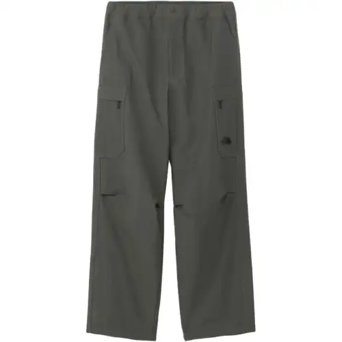 THE NORTH FACE FW24 Cargo Pants Men's Green
