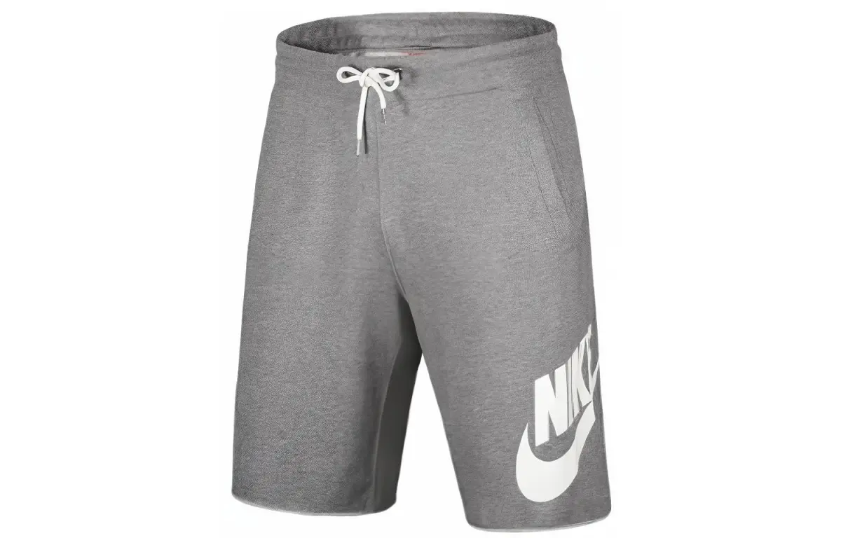 Nike Casual Shorts Men's Gray Moderate