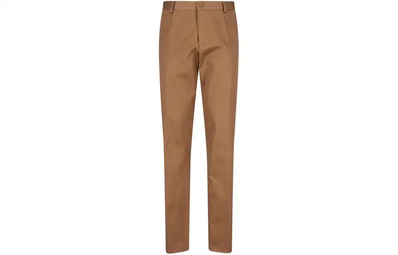 Loro Piana Casual Pants Men's Brown