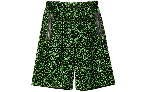 LOEWE Patterned Shorts