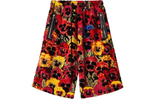 LOEWE Casual Shorts Men's Multicolor Moderate