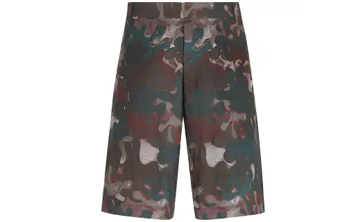 DIOR x PETER DOIG Casual Shorts Men's Multicolor