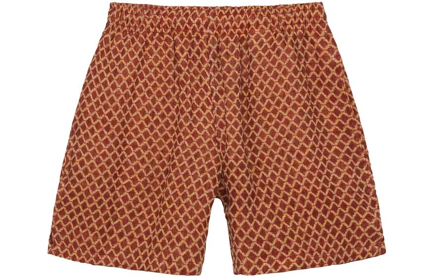 Stussy X OUR LEGACY OUR LEGACY Casual Shorts Unisex Brown Moderate