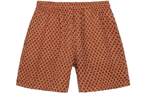 Stussy X OUR LEGACY OUR LEGACY Casual Shorts Unisex Brown Moderate