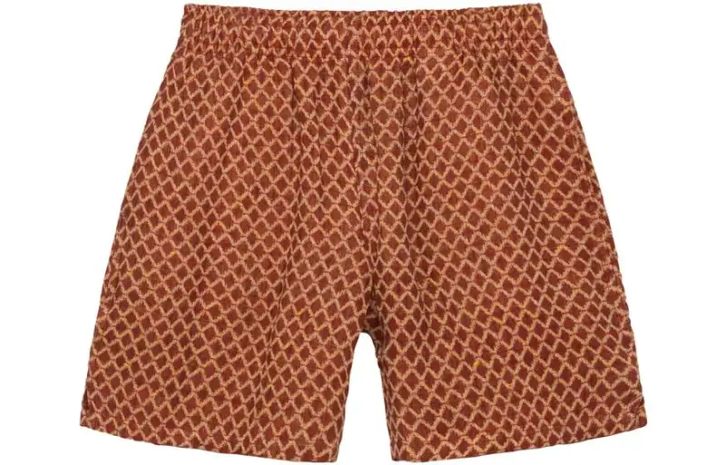 Stussy X OUR LEGACY OUR LEGACY Casual Shorts Unisex Brown Moderate