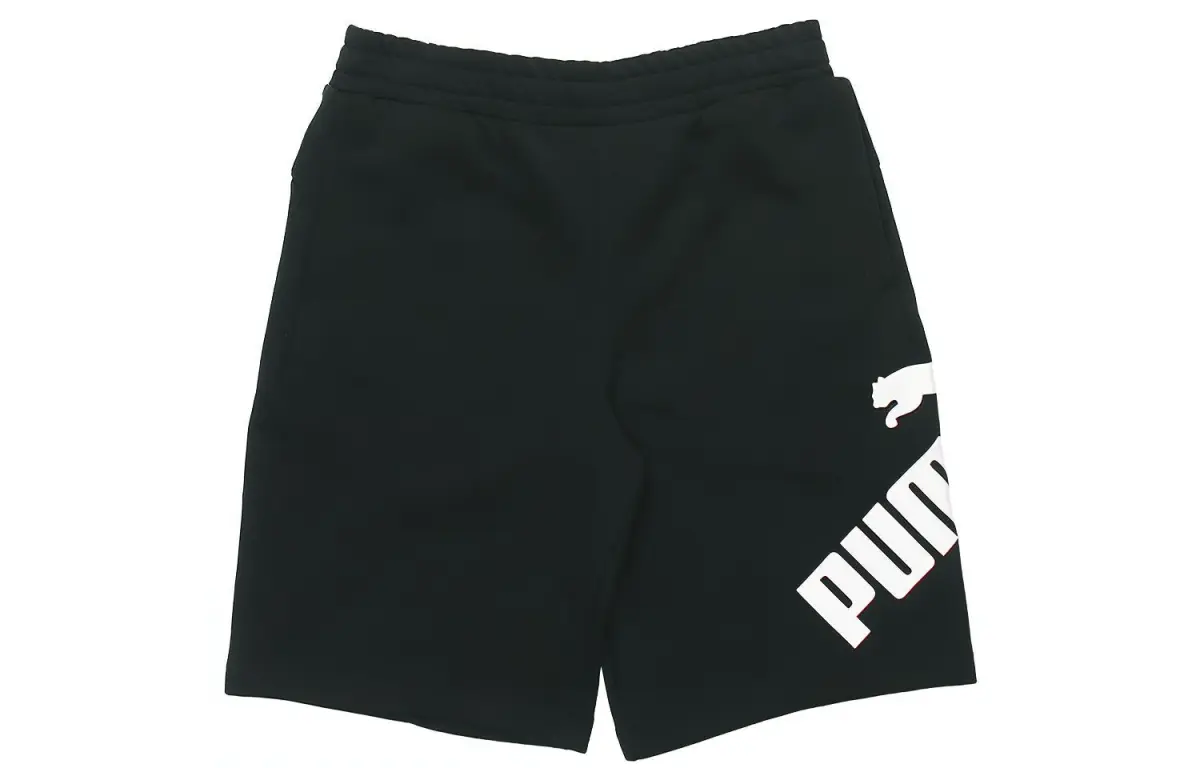 PUMA Casual Shorts Men's Moderate