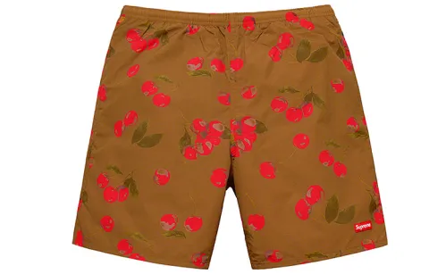 Supreme Nylon Water Short SS19