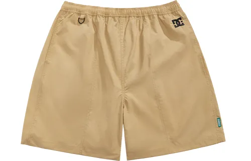 DCSHOES Cargo Shorts Men's Thin