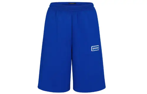 LOUIS VUITTON New Quarterly Products Of LV Casual Shorts Men's Blue Moderate
