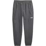 THE NORTH FACE Men's TNF™ Easy Wind Pants Casual Pants Men's Gray