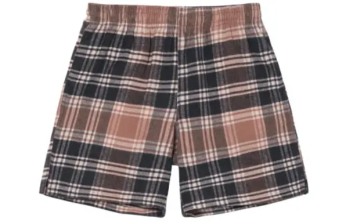 Stussy X OUR LEGACY Casual Shorts Men's Brown Moderate