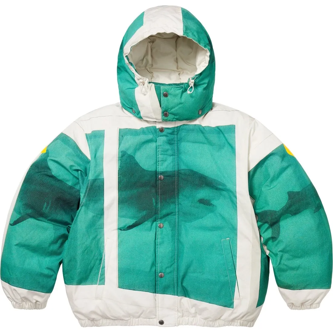 Supreme Damien Hirst Down Puffer Jacket