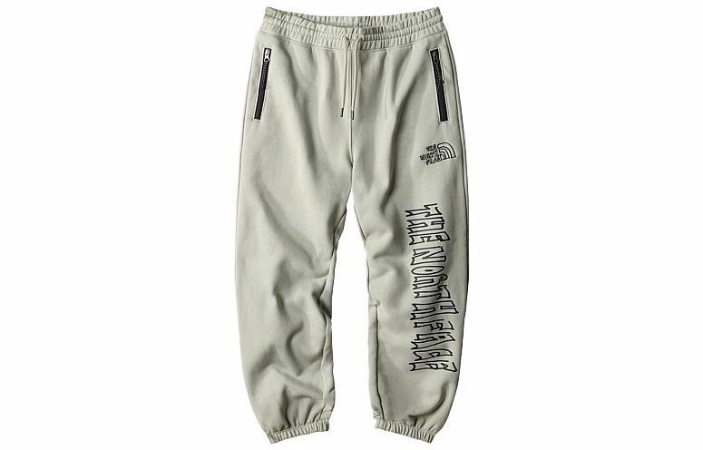 Мужские штаны The North Face (серые)