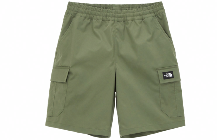 Мужские шорты The North Face SS22 (зеленые)