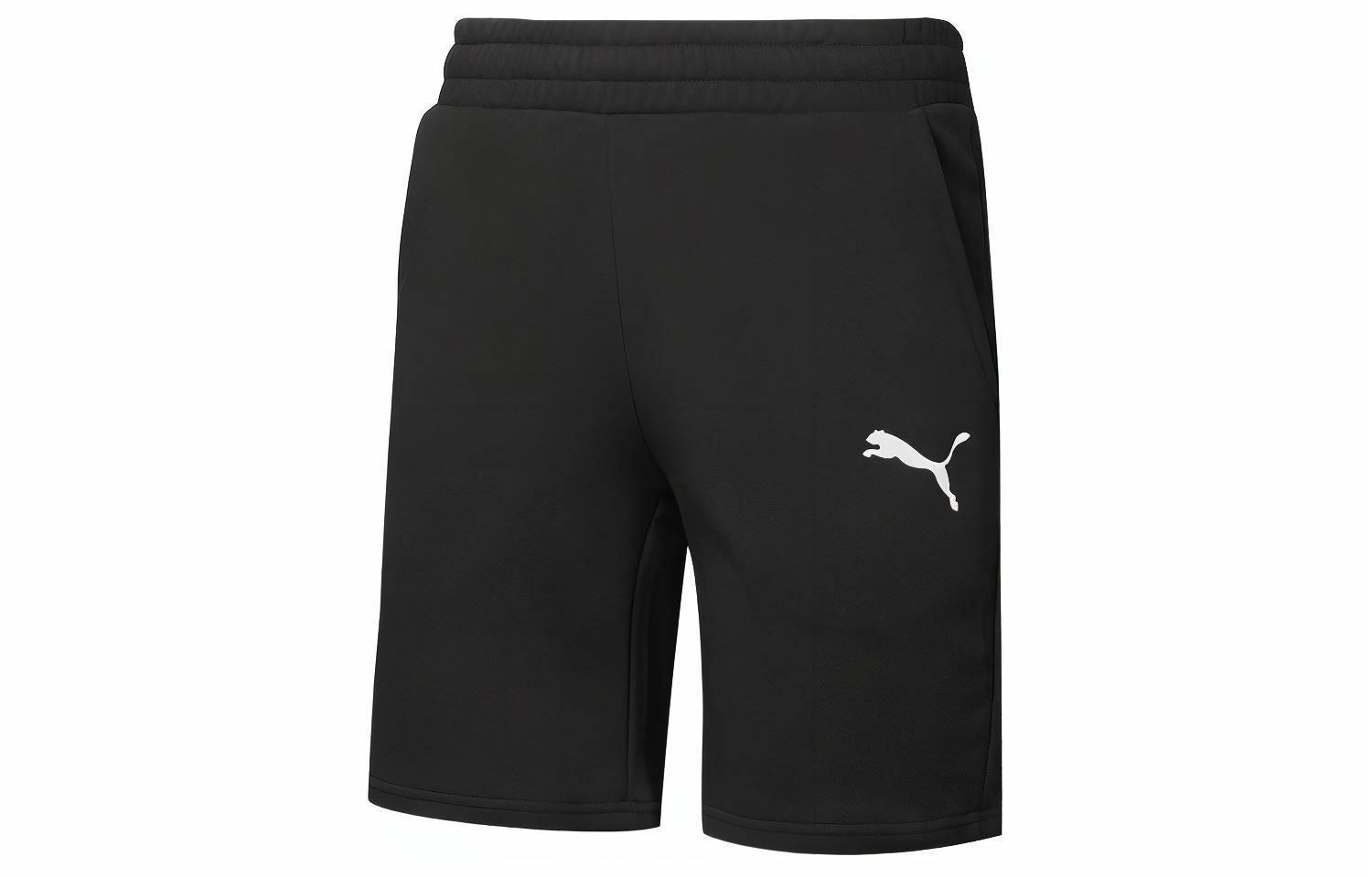 Мужские штаны PUMA Teamgoal (черные) — фото 1