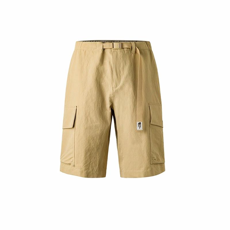 Мужские шорты The North Face (каки)