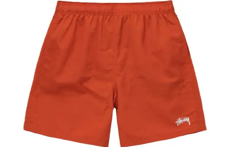 Stussy Fall 2024 Casual Shorts Men's