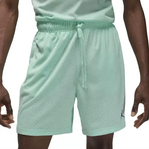Jordan Sport Dri Fit Mesh Shorts