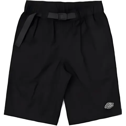 Dickies Casual Shorts Men's Black Moderate