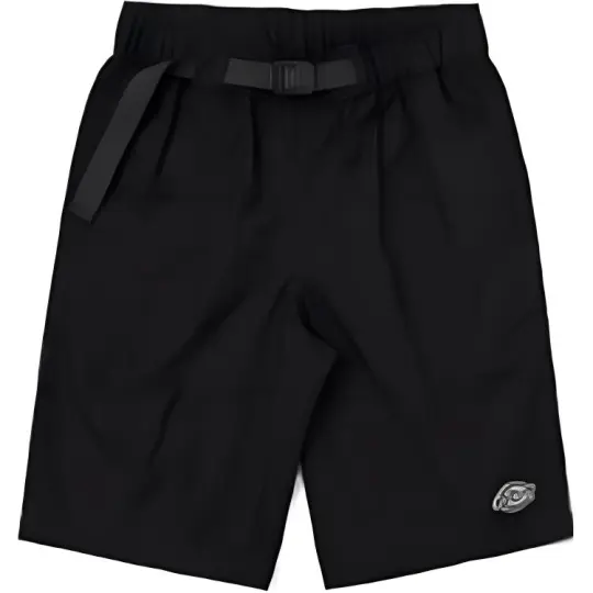 Dickies Casual Shorts Men's Black Moderate