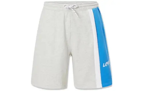 Levis Casual Shorts Men's Multicolor Moderate