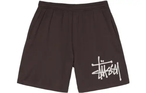 Stussy Big Basic Mesh Shorts