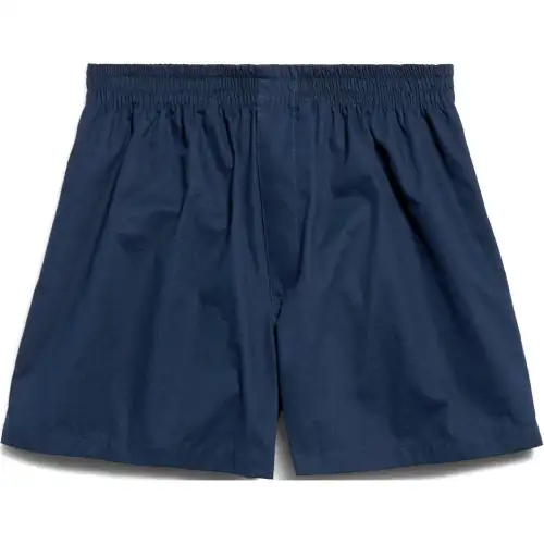 Balenciaga Boxer Shorts