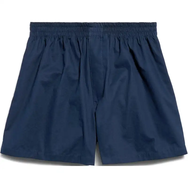 Balenciaga Boxer Shorts