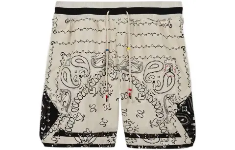 Travis Scott X JORDAN Paisley Shorts Asia Sizing