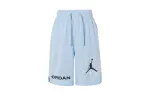 Jordan Casual Shorts Men's Blue