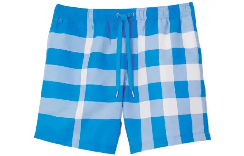 Burberry Martin Giant Checks Shorts