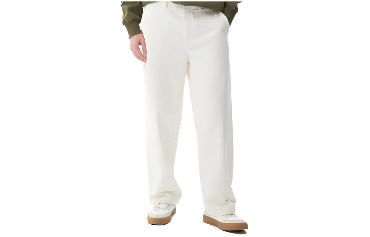 Dickies Casual Pants Men's Cream Moderate Straight Fit Pants