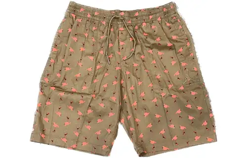 Jordan Casual Shorts Men's Khaki Moderate