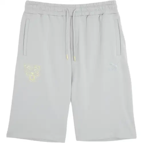 PUMA Casual Shorts Unisex Gray Moderate