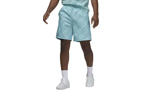 Jordan Casual Shorts Men's Aqua Green Moderate