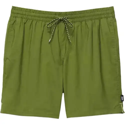 Vans Primary Solid Elastic 17 Boardshorts Casual Shorts Men's Cyan