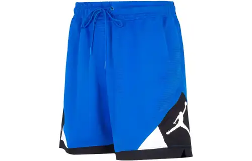 Jordan Casual Shorts Men's Blue